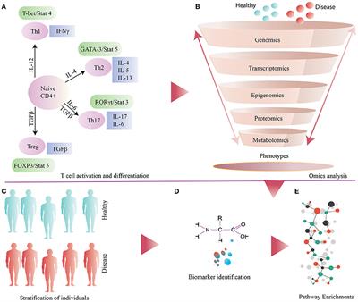 Perspectives on Systems Modeling of Human Peripheral Blood Mononuclear Cells